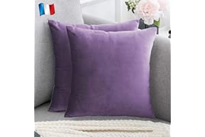 Douceur De Plumes Lot de 2 Housse de Coussin décorative Violet Lavande Velours 40x40 cm Uni, Taie d'oreiller Carré Doux et Moderne, Décoration Salon Scandinave Canapé (2 Violet Lavande)
