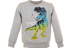 MARIELA KIDS Kinder Dino Pullover | Sweatshirt Jungen | Winterpullover Dinosaurier | T-Rex Print | Baumwolle | Langarmshirt | Warmer Kinderpullover