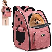 Trasportino Gatto Zaino Porta Animali ALLSOPETS Traspirante Per