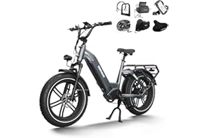 ‎HIMIWAY Himiway Big Dog Elektrisches Lastenfahrrad mit 250W Motor und 86 NM Drehmoment, 20 Zoll E Bike mit 48V 20AH 960 WH Akku, Elektrofahrrad für Pendeln und Bergfahren mit Hydraulischen Scheibenbremsen