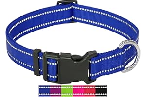 DEY - Premium Hundehalsband Nylon, Reflektierend, Verstellbar, für Kleine u. Große Hunde, viele Farben u. Größen, Hund Welpe, Hunde-Halsbänder, Katzen-Halsband, Welpen-Halsband, Blau, XS