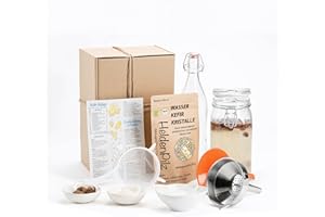 HELDENPILZ Kéfir de agua - Kit de kéfir DIY - Original kéfir seta en paquete completo sin preocupaciones con cristales japoneses activos - cultivo de kéfir fuerte para un inicio perfecto