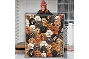 RKZM Pudel Lovely Animal Dog 3D Fleece Decke Quilt Throw Blanket Sherpa Decke zu meiner Familie Sohn Tochter Flauschige Bettwäsche 150 * 200cm