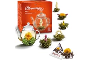 ‎CREANO Creano Zestaw upominkowy z kwiatów herbaty - herbata kwitnąca ze szklanym dzbankiem o pojemności 500 ml i 6 x biała herbata + czarna herbata bonusowa kula - 8-częściowy