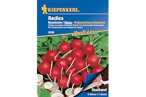 Kiepenkerl Profi-Line Radieschensamen Riesenbutter/Vitessa, Saatband 485 - Einfache Aussaat, Groß & Knackig, Ideal für Gemüsegarten
