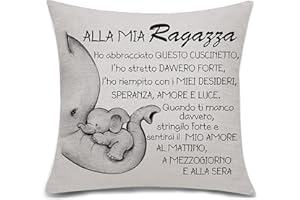 Bacmaxom Alla mia ragazza Regalo della fidanzata compleanno di valentino anniversario anniversario del regalo di natale cuscino della fidanzata (Alla mia ragazza)