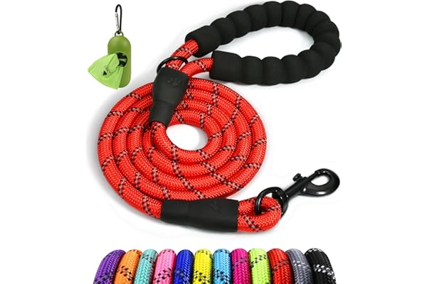 Taglory Correa de Perro, 1,2 m Correa de Fuerte de Perro para Perros Medianos y Grandes con Mango Acolchado Suave y Hilos Reflectantes, Rojo