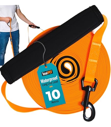 Hi Kiss 100-Foot Dog Training Lead - Long Nylon Leash For Recall, Obedience & Outdoor Play (3/4" Wide, Swivel Clip) - View #2