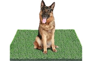 STARROAD-TIM 80 x 100 cm, lettiera per cani in erba artificiale, per la casa, casa, per cani, balcone, riutilizzabile, per cani, prati, decoratio