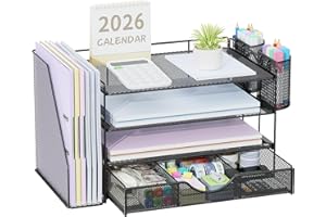 Pygocereri Schreibtisch Organizer mit Aktenhalter, 4 Ebenen Büro Organizer mit Schublade und 2 Stifthaltern, Mesh Papierablage mit Zeitschriftenhalter, Schreibtisch Ablage für Bürobedarf (Schwarz)
