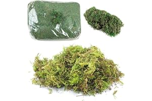 Qixuer 2 Paquets Artificielle séchée Mousse,Plantes Vertes Simulées Artificielle de Mousse Verte Lichen pour Décoration Mousse Artificielle pour La Maison Jardin Patio Jardins Accessoires