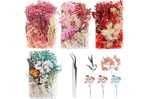 GZGXKJ 4 Cajas Mini Flores Secas Pequeñas Decorativas Naturales Con Pinzas Para Manualidades DIY, Resina Epoxi y Fabricación de Velas