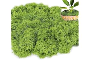 YUZHEDM Muschio Stabilizzato 100g Muschio Finto per Decorazioni Verde Chiaro Stabilizzato Simulazione Artificiale Adatto Per la Decorazione del Giardino in Miniatura Artificiale