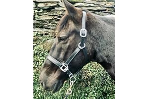 ABERWIEL SADDLERY Brown Padded Leather Headcollar - All Sizes - Travel/Shows/Turnout Pony