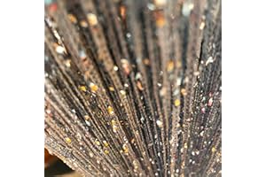 Vagasi 2 Pack Beaded Curtains String 100x200 cm Beaded Curtains for Doorways Tassel Glitter String Curtains Room Dividers Curtain Hippie Room Décor for Living Room, Bedroom, Closet, Party