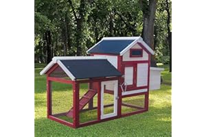 BRAST Poulailler 2 Poules Poulailler XXL - 4 Sizes Diff. - avec pondoir et enclos Bois Zone de pondoir perchoirs, 2 Portes verrouillables imperméable Rampe Nettoyage Facile - pour espèces Petite