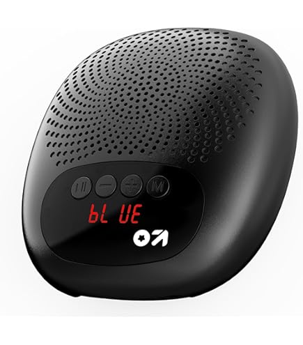 SpeakerCraft OE5 One Outdoor Speaker - Each (Black) : Amazon
