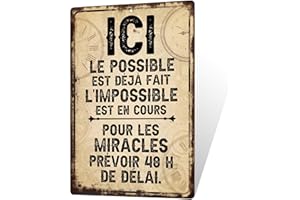 Putuo Decor Plaque Métal Humour Bureau – Décoration Bureau Vintage en Aluminium, Panneau Décoratif Métallique 30x20 cm, Style Drôle pour Entreprise ou Maison (ICI)