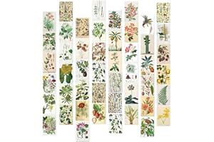 SEGXN 50 Pack Vibrant Landscape Art Postcards for Wall Decor, Scrapbooking & Greeting Cards - Nature Scenery Home Decoration, Invitations, Premium Quality Multi-Purpose Decorative Cards