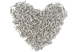 HVDHYY 500PCS Petits clous Rond Tête Petits Clous en Bois Boîtes Cécoratives Bricolage Accessoires Argentées 1 * 10mm