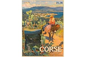 ABLERTRADE Plaque en métal 20,3 x 30,5 cm Corse île de Corse française vintage publicité de voyage Art Poster en métal Décoration murale