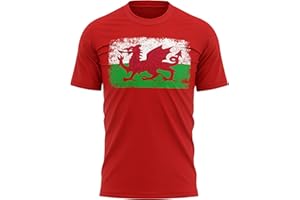 Purple Print House Wales Rugby Flag T Shirt, Cymru Gifts for Rugby Fan, Welsh Shirts for Men