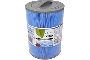 Darlly antibakterieller Filter für Spa 60401 / 6CH-940 / PWW50 / FC-0359