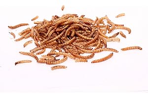 SUPERPET LTD Superpet Dried Mealworms for Wild Birds – High-Protein, Nutritious Treats for Robins, Sparrows, Tits & More (5kg)