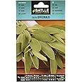 Semi di erba di Batlle - sage officinalis (semi - 25-35cm)