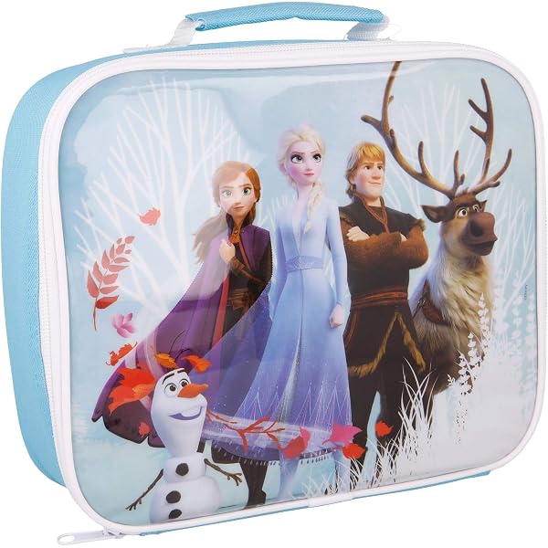 frozen insulated lunch box