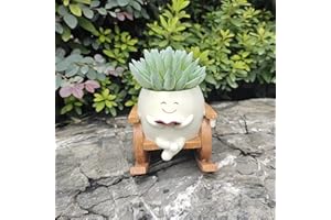Mailfull Pot de Fleurs avec Visage Souriant Pot Fleur en Résine pour Chaise à Bascule avec Trou de Drainage Pot de Fleurs Succulentes Créatives pour Décoration D'intérieur (02)
