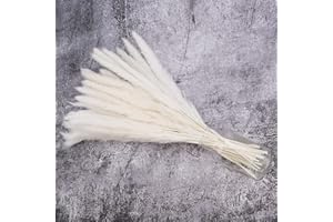 HILEYU 30 Pezzi 40cm Erba Della Pampas Decorative Erba Della Pampas Pianta Finta Pampas Bianche Pampas Decorative Beige Bianche Piccole Pampas Grass Per Vasi, Bouquet Boho Decorazioni (White)