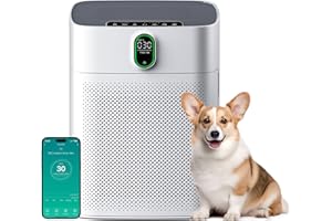 MERONTE Purificateur d'air pour la maison et les pièces fumeurs, anti-allergique, filtre HEPA contre la poussière, le pollen, CADR 300 m³/h pour 100 m², silencieux 24 dB, minuterie, retour de qualité