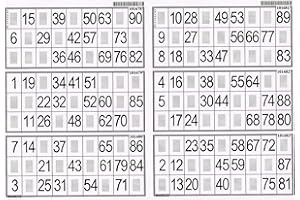 LOTOQUINE Plaque de 6 grilles de Loto Accessoire Loto