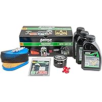 ARNOLD 420 CCM (MKB 4P90) 9100-X2-1006 ASK02 Service-Kit für MTD 420ccm Motor, 1 Stück