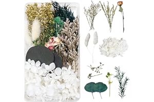DOG'S BOOTY Trockenblumen zum Basteln Trockenblumen Deko Trockenblumen Klein Getrocknete Blumen Deko Trockenblumen Basteln Trockenblumen Set für DIY Basteln Epoxidharz Scrapbooking Dekoration（weiß und grün）C-047G