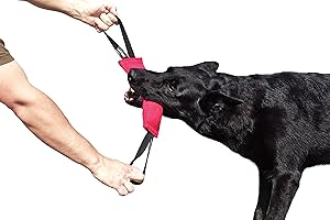 DINGO GEAR WWW.DINGOGEAR.COM 1977 Dingo Gear S00311 - Salsiccia in nylon per addestramento del cane con due manici, 28 x 7 cm, colore: Rosa