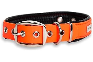 PetTec Trioflex Collar para Perros - para Cachorros Pequeños, Medianos y Grandes - Acolchados para Perros Grandes - Fuerte e Impermeable - Trenza Textil, Costura Reforzada, Hebilla Doble - Naranja