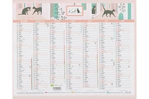 LIBELLUS LECAS - 1 Calendrier Mural Annuelle Illustré KATT 2024-27 x 21 cm - Période : Décembre 2023 à Janvier 2025