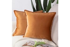 MADIZZ Zestaw 2 super miękkich aksamitnych dekoracyjnych poszewek na poduszki z frędzlami, luksusowy styl, poszewka na poduszkę na sofę, do sypialni, kwadratowe, pomarańczowe, 40 x 40 cm