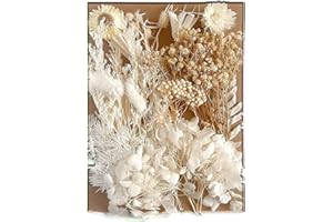 UESDU Flores Secas Naturales y Preservadas - Hojas Secas Mixtas para Manualidades y DIY en Resina (Blanco)