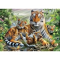Kit Diamond Painting Animali 4 Pack - 30x40 Cm, 5D Diamanti, Completo Di Accessori Per Adulti E Bambini - Foto 14