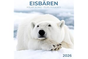 Eisbärchen/Polar Bears 2026: Kalender 2026 (Artwork Edition)