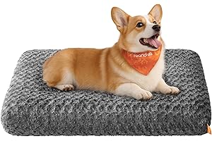 Feandrea Panier pour Chien, Taille L, pour Chiens de Taille Moyenne, Lit pour Animaux, Tissu Peluche, 95 x 60 cm, Rembourrage Doux, Lavable, Antidérapant, Gris Ardoise PGW292GN01