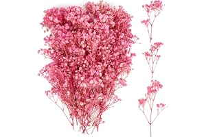 100 st torkad torkad dimma, flera blomknoppar Gypsophila, Nebbiolina Gypsophila blommor, naturliga torkade blommor för gör-de