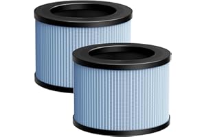 ISINLIVE 2 Pack DH-JH01/JH06 True HEPA Replacement Filter Compatible with CONOPU DH-JH01 & DH-JH06 Air Purifier, 4-IN-1 Efficient Filtration HEPA Replacement Filter, Blue