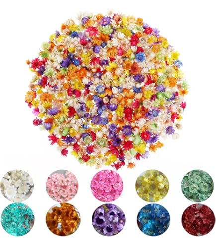 Fleurs Séchées Pour Nail Art - 12 Couleurs, Vraies Fleurs, Boîte Transparente - 5