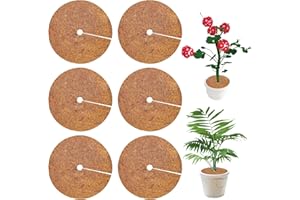 DTXYBC 6 Pezzi Disco in Fibra di Cocco, 30cm Pacciamatura Cocco, Piante in Vaso Stuoia Cocco, Cocco Pacciamatura Stuoia Piante, per Protezione Piante, Protezione Antigelo, Protezione Invernale