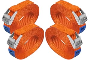 BB SPORT Correa de amarre cinturón de amarre con hebilla resistente a 250 kg DIN EN 12195-2, 4 piezas 2.5 cm x 2.5 m