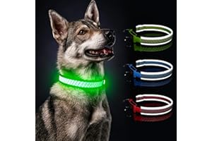Hundehalsband Leuchtend für Mittelgroße Hund DQGHQME Leuchthalsband Hund USB Aufladbar LED Halsband für Hunde Robuste Einstellbare& Wasserdicht mit 3 Lichtmodi, die Nachts Sicher Spazieren Gehen, Grün